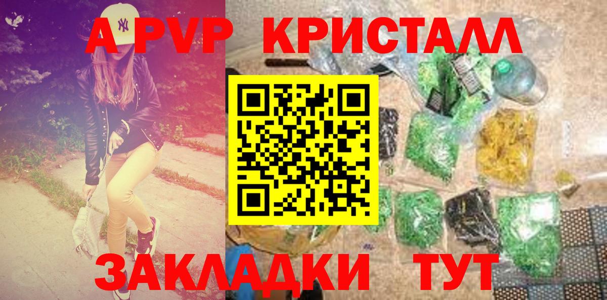 Alfa_PVP СК КРИС Элиста