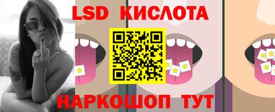 тгк Кингисепп