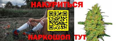 тгк Кингисепп