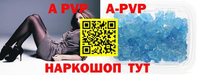 тгк Кингисепп