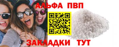 тгк Кингисепп