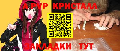 тгк Кингисепп
