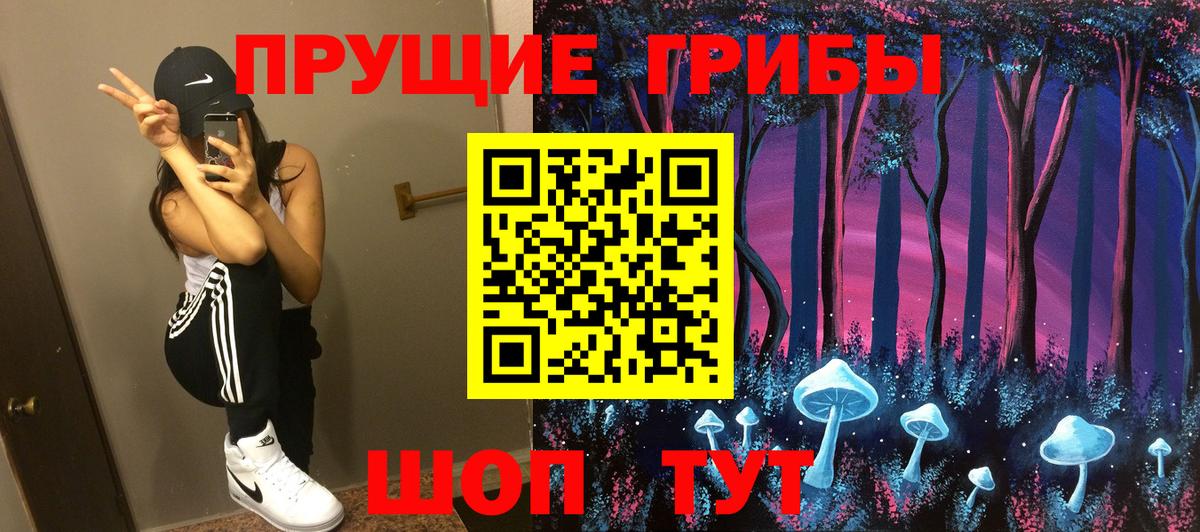 Элиста  хочу наркоту  Вход с VPN  Псилоцибиновые грибы ЛСД 