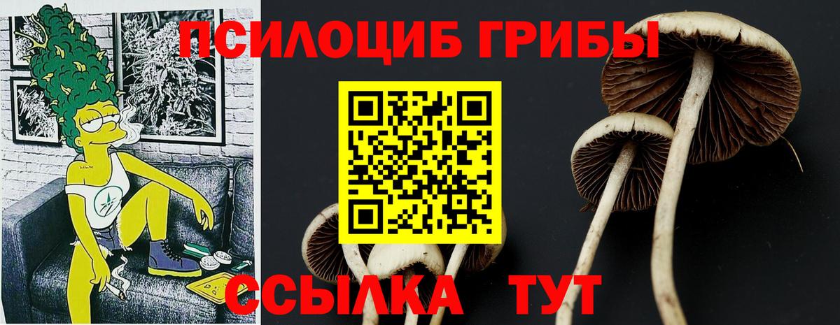 Псилоцибиновые грибы Cubensis Элиста